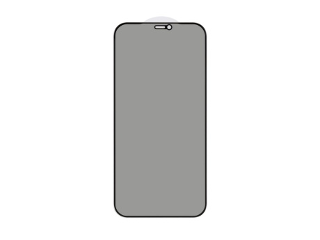 Защитное стекло 3D PRIVACY для iPhone 12 Pro Max (черный) (VIXION)