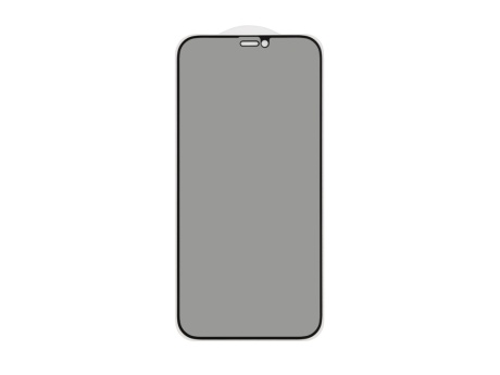 Защитное стекло 3D PRIVACY для iPhone 12/12 Pro (черный) (VIXION)