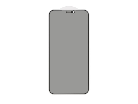 Защитное стекло 3D PRIVACY для iPhone 12 mini (черный) (VIXION)