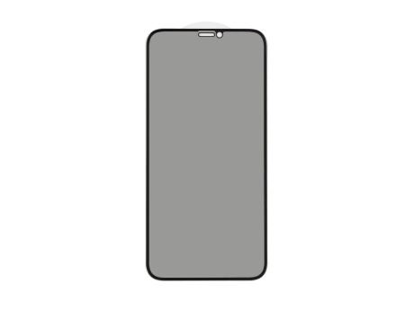 Защитное стекло 3D PRIVACY для iPhone XR/11 (черный) (VIXION)