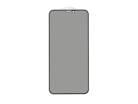 Защитное стекло 3D PRIVACY для iPhone X/XS/11 Pro (черный) (VIXION)