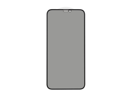 Защитное стекло 3D PRIVACY для iPhone XR/11 (черный) (VIXION)