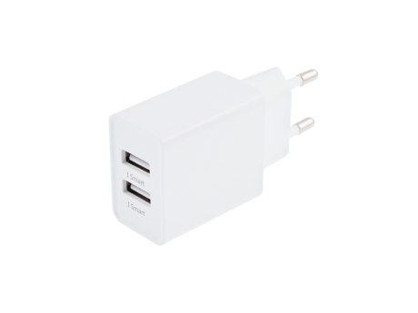 СЗУ VIXION Special Edition H10 (2-USB 2,4A) (белый)